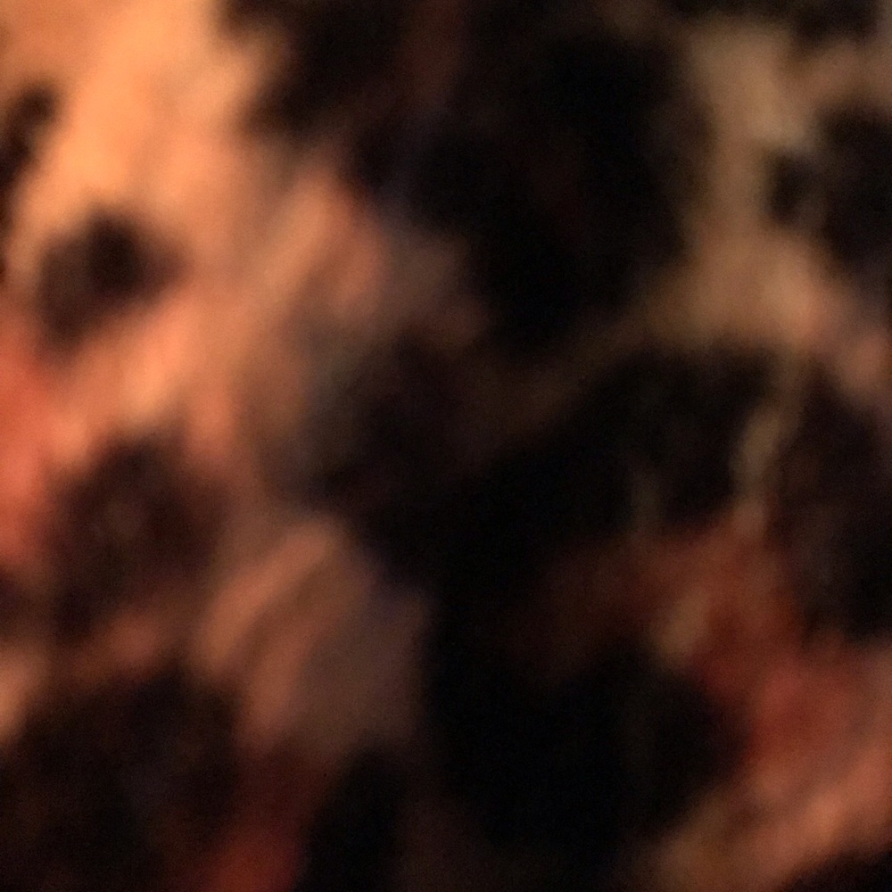 Meet your Posher, Cati